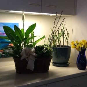 Meet your Posher, Charisse